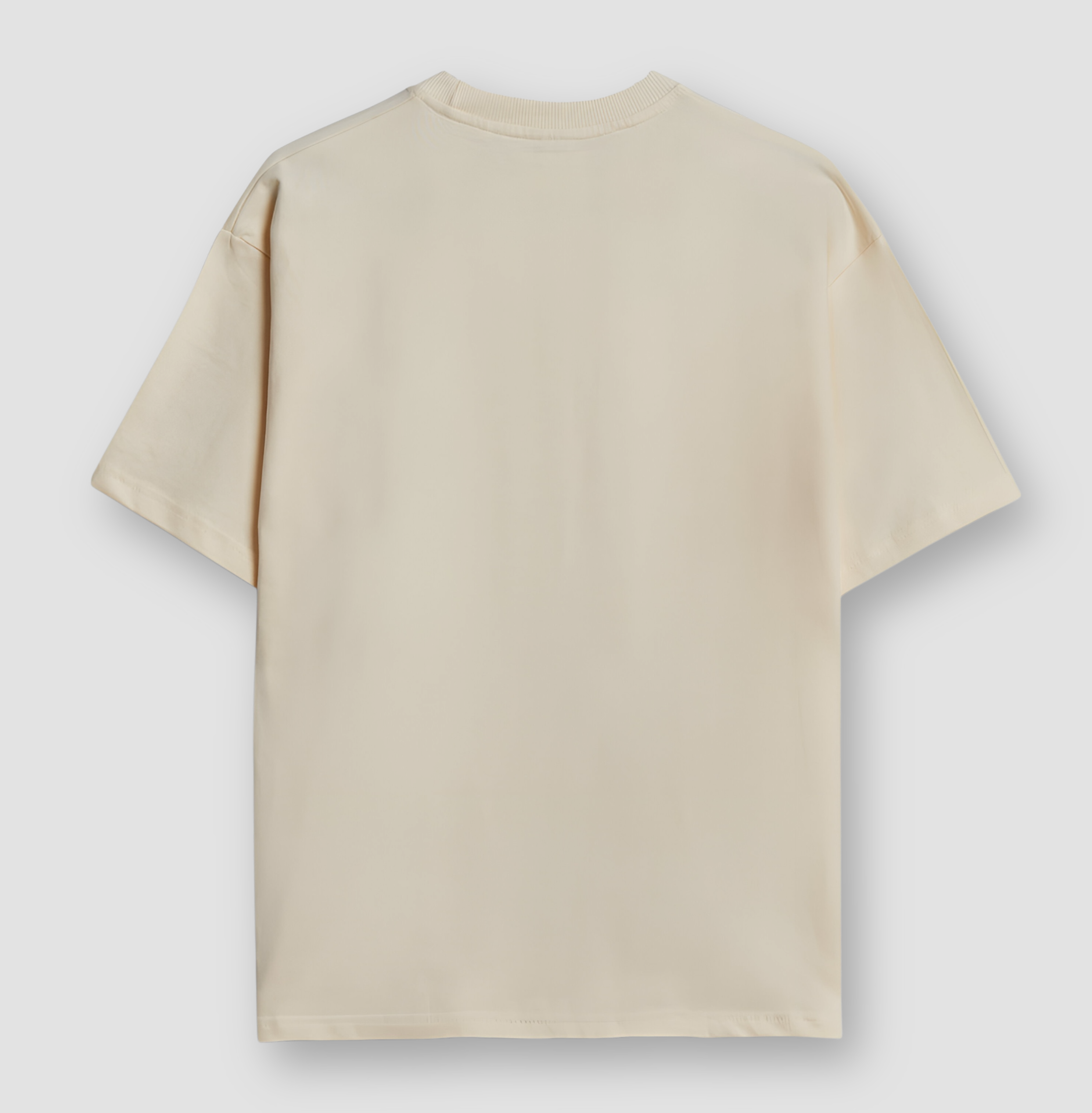 Jeeb Khaali Oversized Classic T-Shirt ( Embroidery )