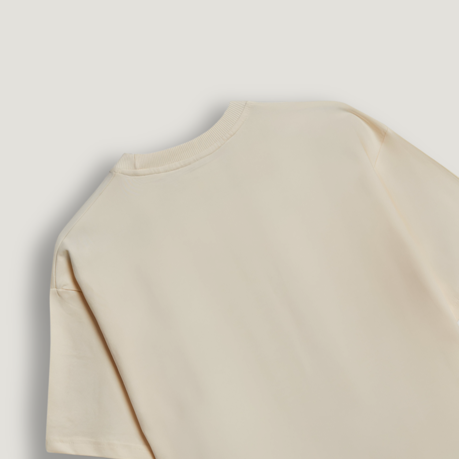 Jeeb Khaali Oversized Classic T-Shirt ( Embroidery )